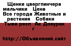 Щенки цвергпинчера мальчики › Цена ­ 25 000 - Все города Животные и растения » Собаки   . Тыва респ.,Ак-Довурак г.